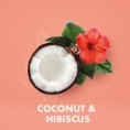 COCONUT HIBISCUS